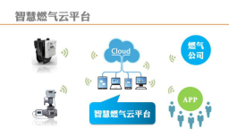 物聯(lián)網(wǎng)RFID技術(shù)助推燃氣氣瓶的安全管理